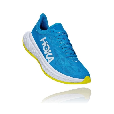 Blue Hoka Carbon X 2 Men's Lifestyle Shoes | USA31VPHA