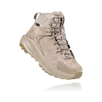 Brown Hoka Kaha GTX Men's Hiking Boots | USA53ZTQJ