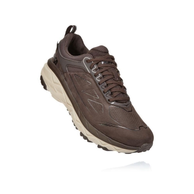 Brown / White Hoka Challenger Low GORE-TEX Men's Running Shoes | USA85ZEPC