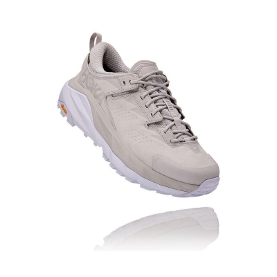 Grey Hoka Kaha Low GTX Men's Lifestyle Shoes | USA35WBQA