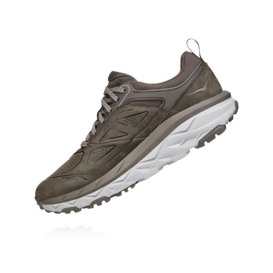 Brown Hoka Challenger Low GORE-TEX Women's Running Shoes | USA48LSUV