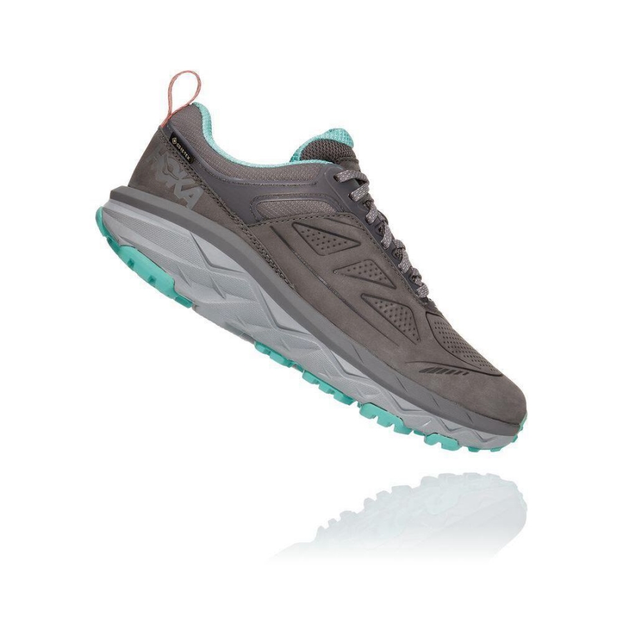 Grey Hoka Challenger Low GORE-TEX Women's Sneakers | USA03FMDZ