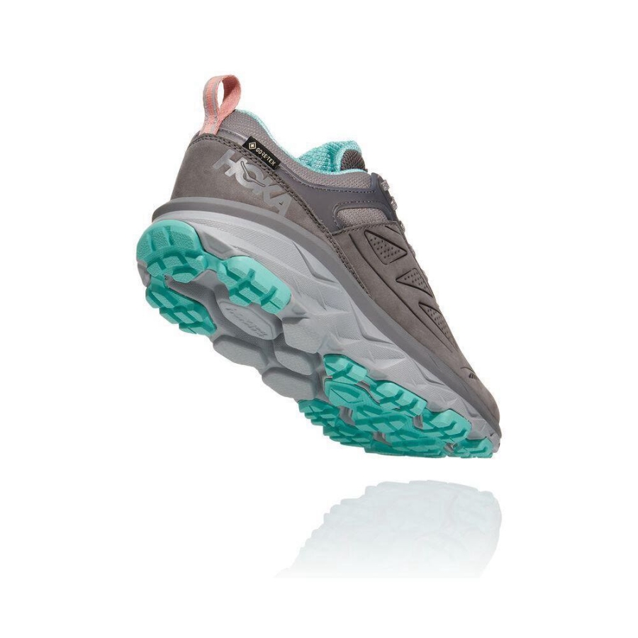 Grey Hoka Challenger Low GORE-TEX Women's Sneakers | USA03FMDZ