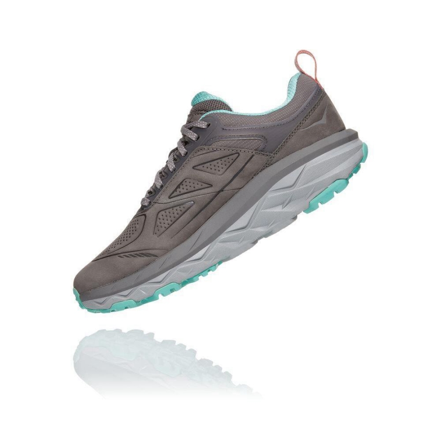 Grey Hoka Challenger Low GORE-TEX Women's Sneakers | USA03FMDZ